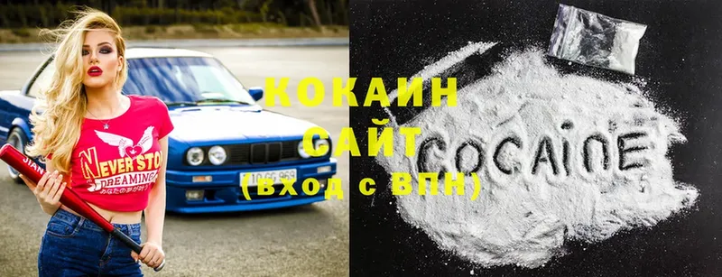 Cocaine Fish Scale  MEGA сайт  Бийск 